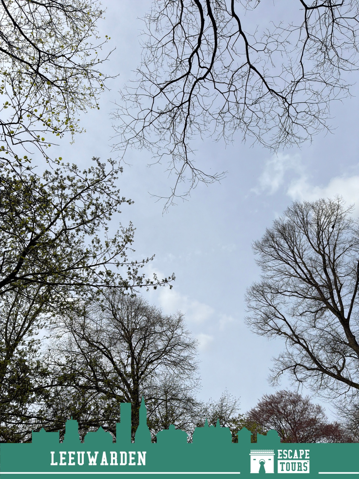 Record time: NiederSwiss