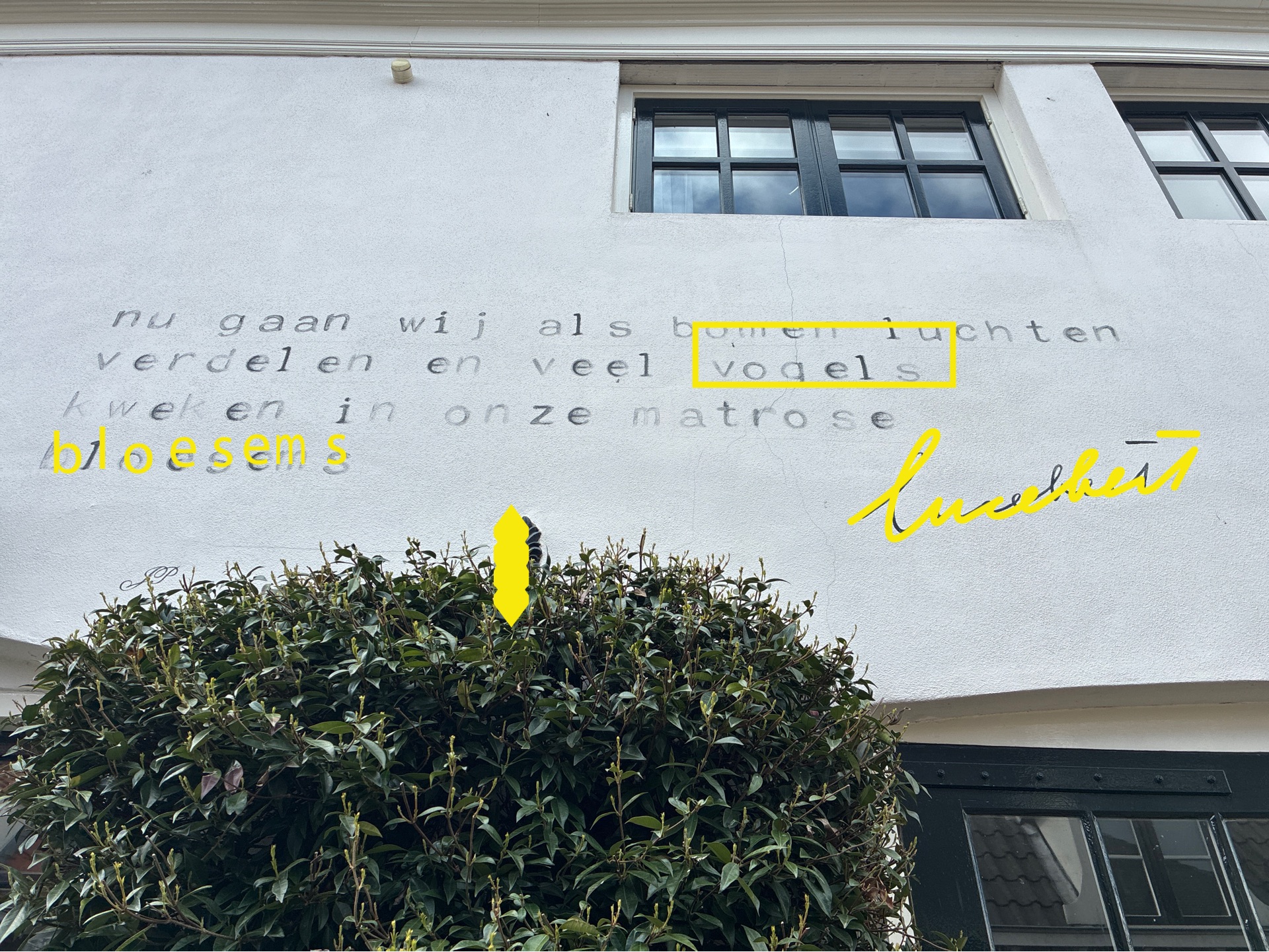 Record time: Outfielders